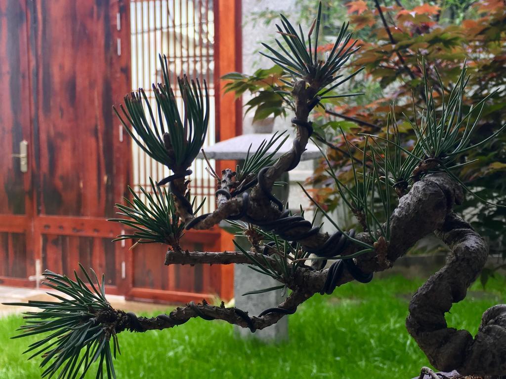 Bo Nan Homestay Νταλί Εξωτερικό φωτογραφία